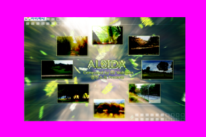 DJ Yoshitaka-ALBIDA(disc).png