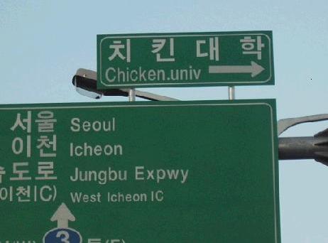 chickenuniv.jpg